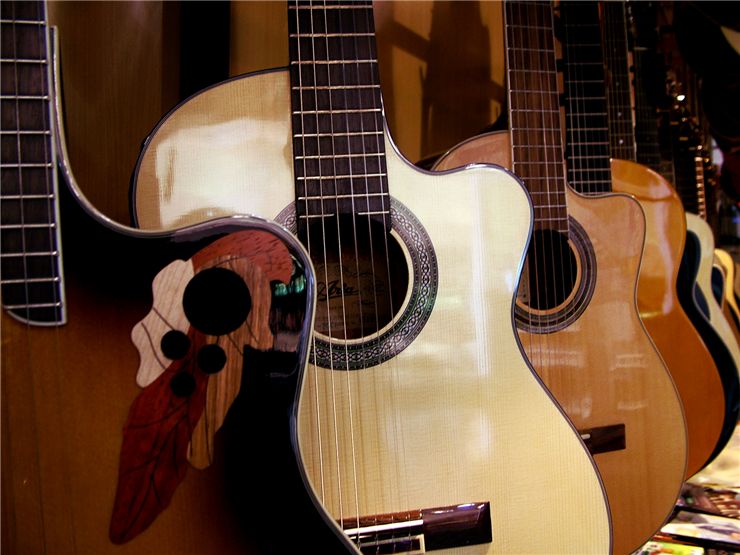Acoustic Guitars Collection