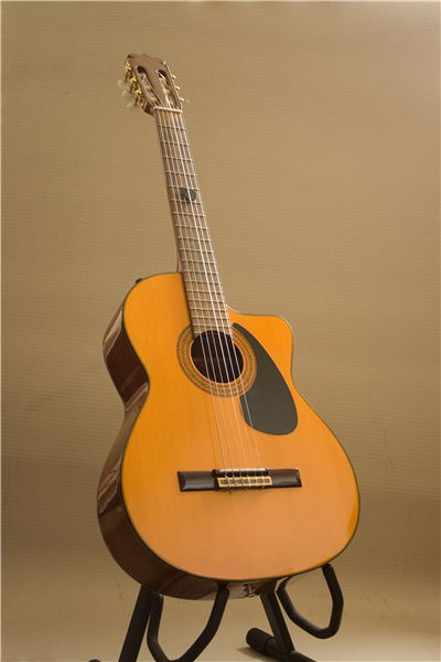 Guitar on a Stand