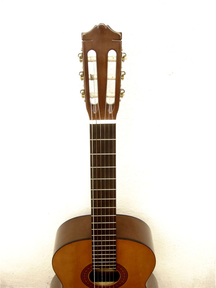 Wood Guitar with Strings